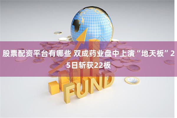 股票配資平臺有哪些 雙成藥業盤中上演“地天板”25日斬獲22板
