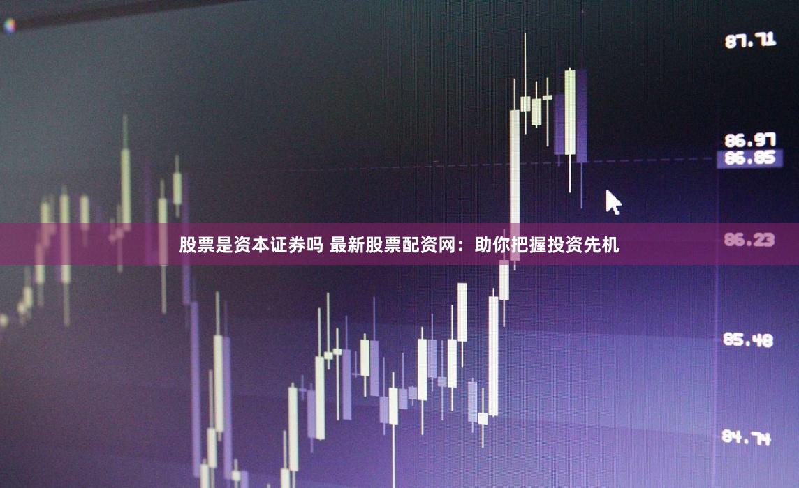 股票是資本證券嗎 最新股票配資網：助你把握投資先機
